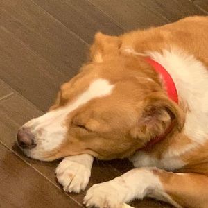 Meet your Posher, Jordan